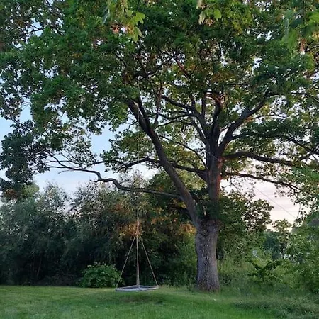 W Krate 2 Ferienhaus